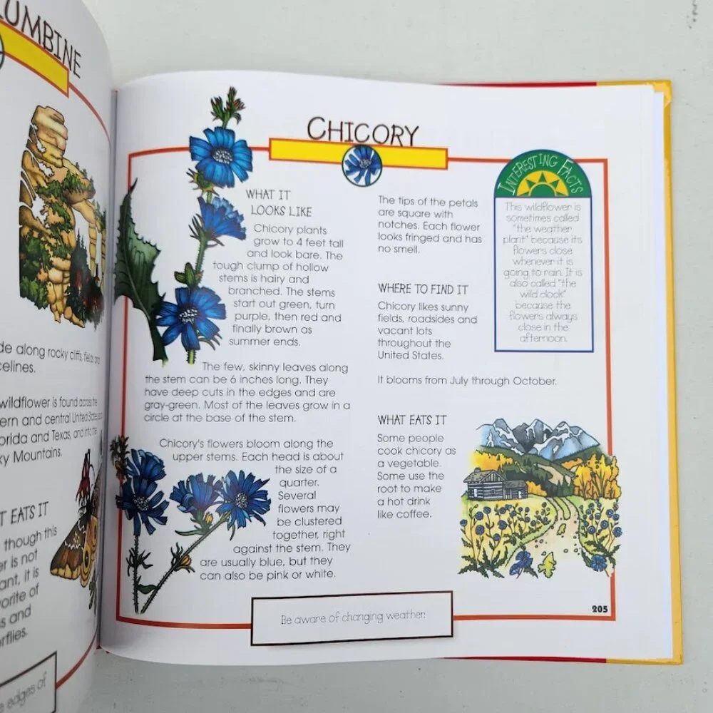 More Fun With Nature Take Along Guides Hardcover Book Activity Journal Craft